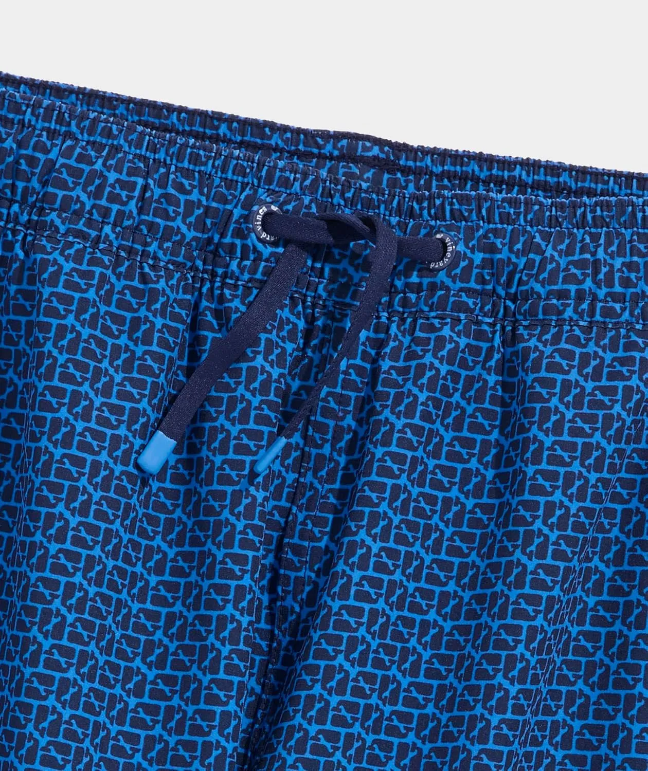 vineyard vines Boys Chappy Trunks